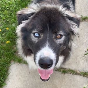 Meet your Posher, Addison